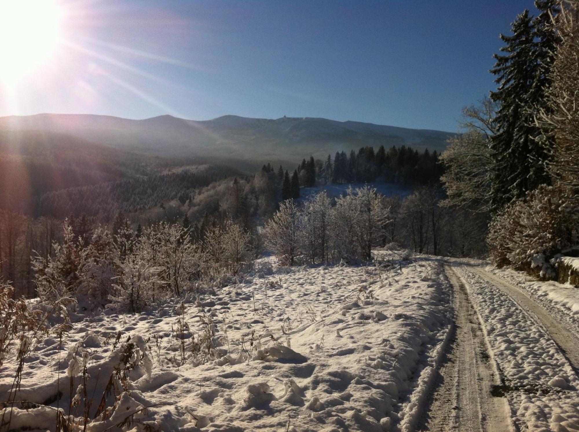 Bed & Breakfast Weranda Z Widokiem Na Karkonosze