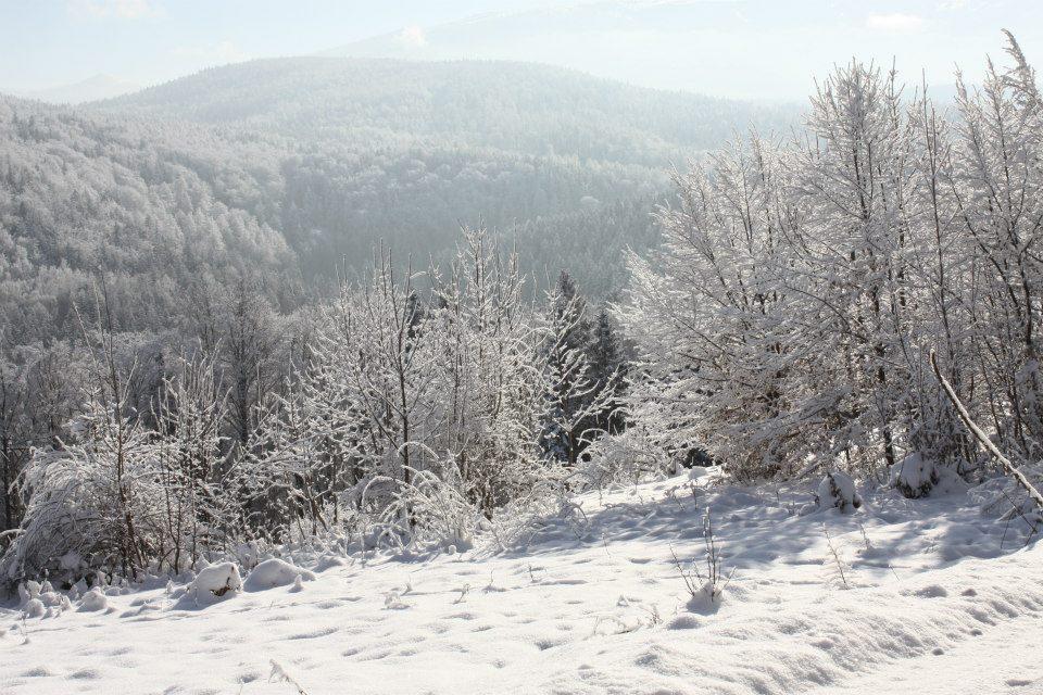 Weranda Z Widokiem Na Karkonosze Bed & Breakfast