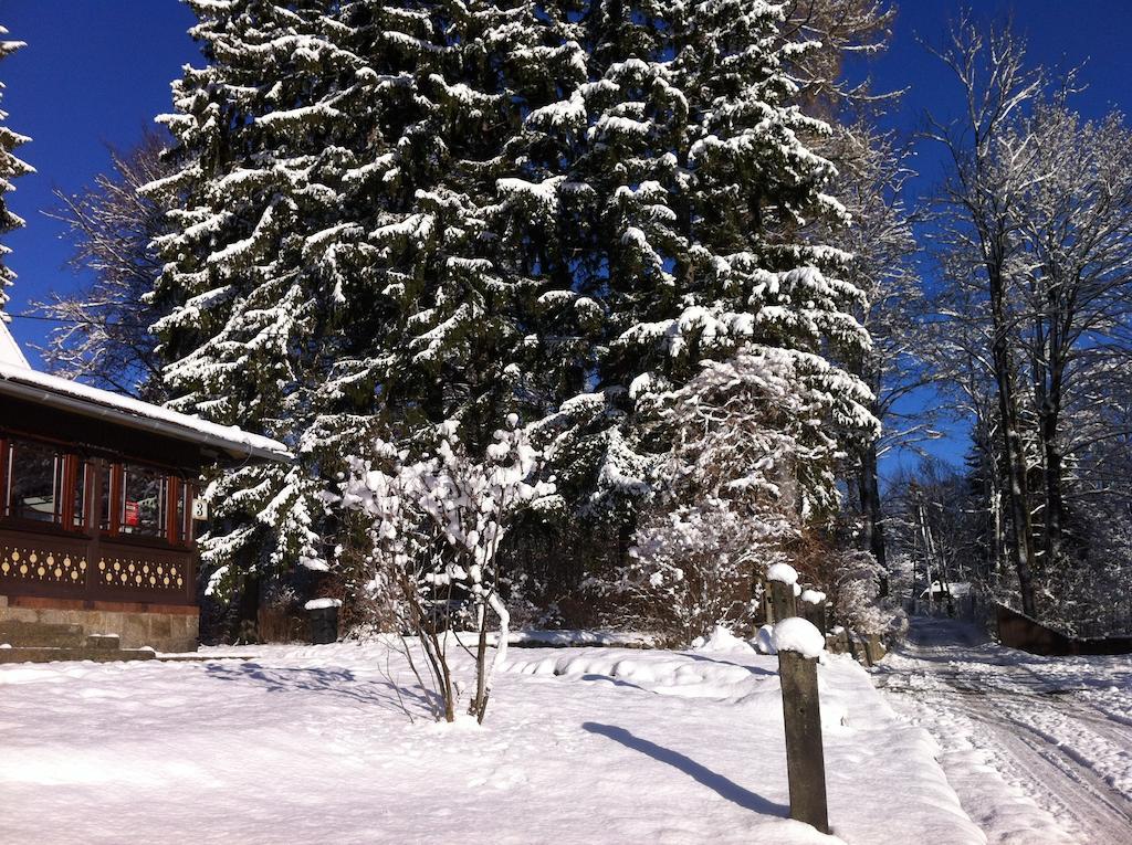 Weranda Z Widokiem Na Karkonosze 3* Szklarska Poręba