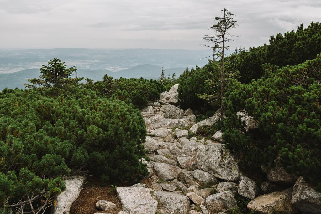 Weranda Z Widokiem Na Karkonosze Bed & Breakfast Szklarska Poręba